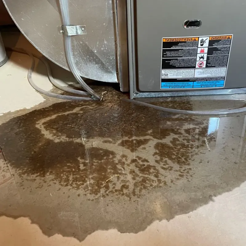 Pipe Burst and Leak Restoration in Pound Ridge, NY